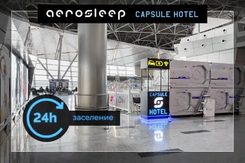 aerosleep Terminal A-зона внутренних вылетов - 29