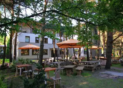 Gintarautojai - 2