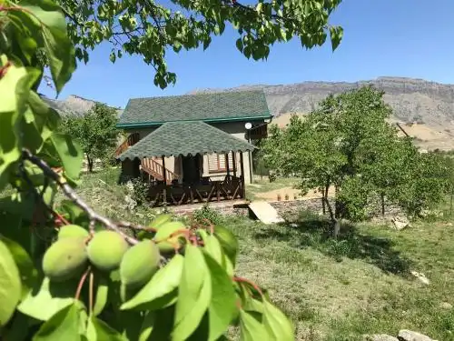 Гуниб рестораны. Adat ресторан гуниб. Гуниб рестораны. Кафе адат дагестан. Гуниб рестораны.