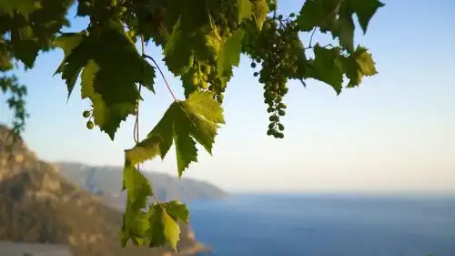 Kabak Mamma's Pension Restaurant & Terrace Bar - 14