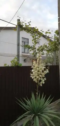 Мечты сбываются - 0