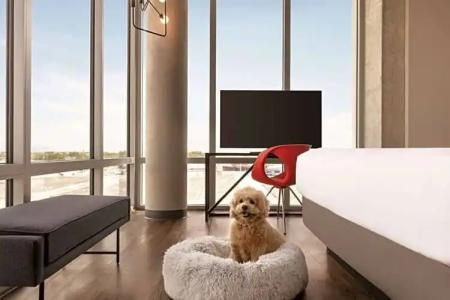 Radisson Red Miami Airport - 54