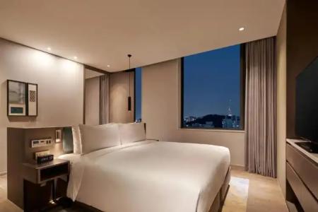 Hilton Garden Inn Seoul Gangnam - 57