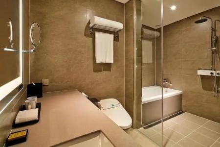 Hilton Garden Inn Seoul Gangnam - 35