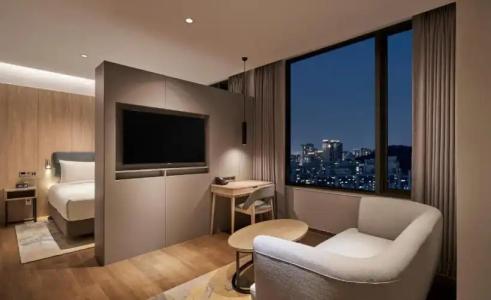 Hilton Garden Inn Seoul Gangnam - 46