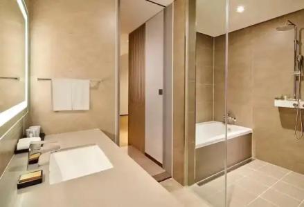 Hilton Garden Inn Seoul Gangnam - 51