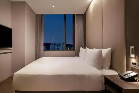 Hilton Garden Inn Seoul Gangnam - 52