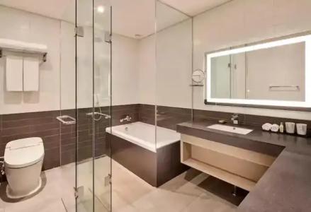 Hilton Garden Inn Seoul Gangnam - 42