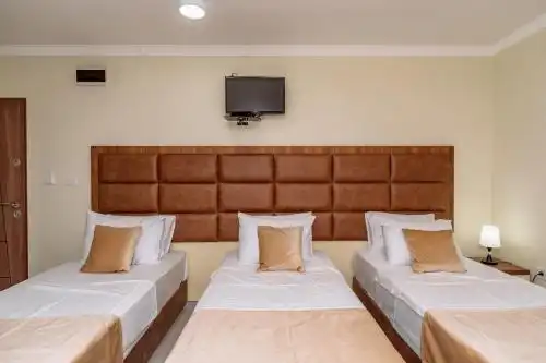 Vila Aleksandra - 25