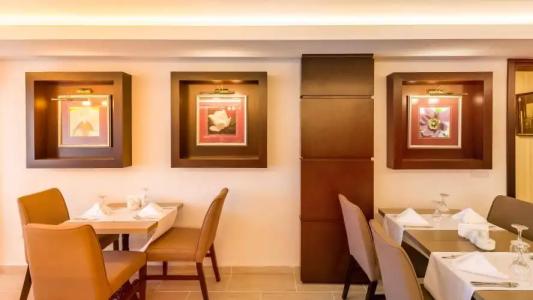 Oscar Park Elite By Historical Salamis - 37