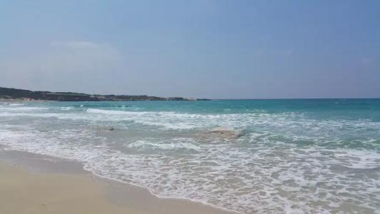 Oscar Park Elite By Historical Salamis - 11