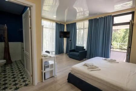 Buxus Shekvetili - 43