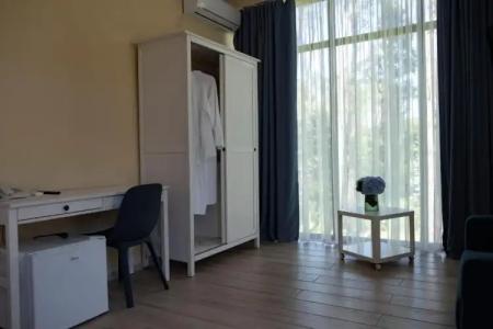 Buxus Shekvetili - 28