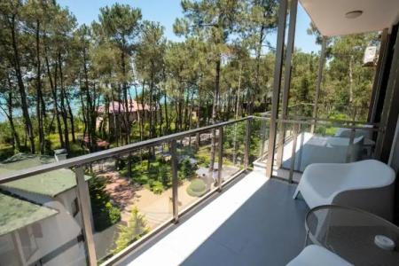 Buxus Shekvetili - 6