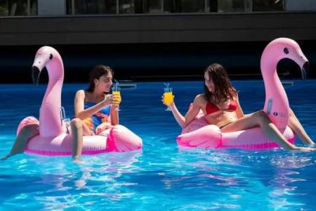 Buxus Shekvetili - 21