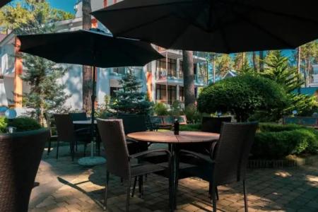 Buxus Shekvetili - 24