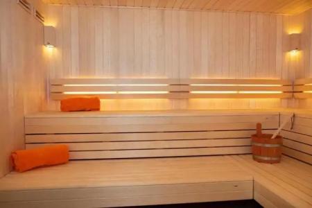 Buxus Shekvetili - 15