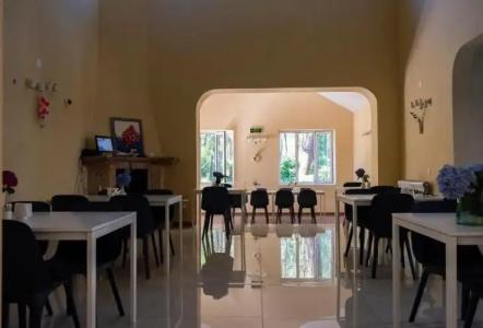 Buxus Shekvetili - 22