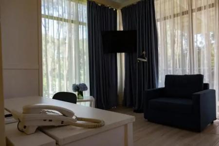 Buxus Shekvetili - 53