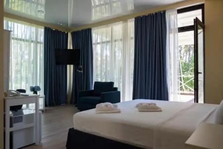 Buxus Shekvetili - 54