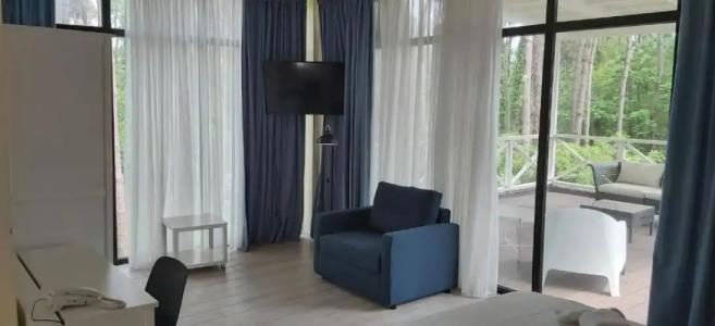 Buxus Shekvetili - 62