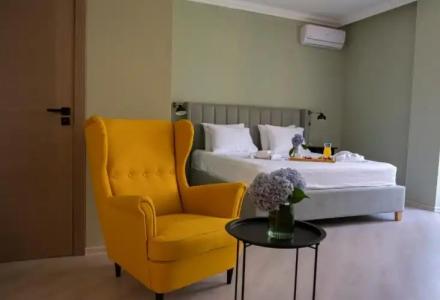 Buxus Shekvetili - 39