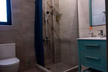 Buxus Shekvetili - 7