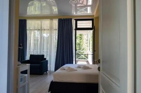 Buxus Shekvetili - 60