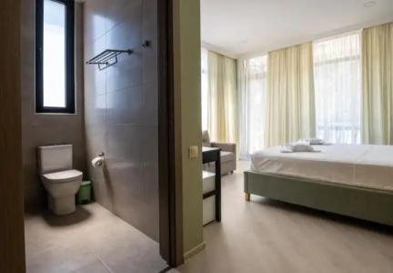 Buxus Shekvetili - 3