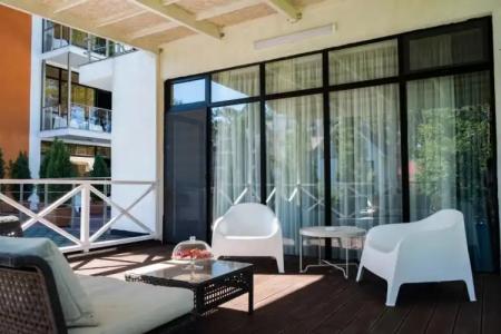 Buxus Shekvetili - 56