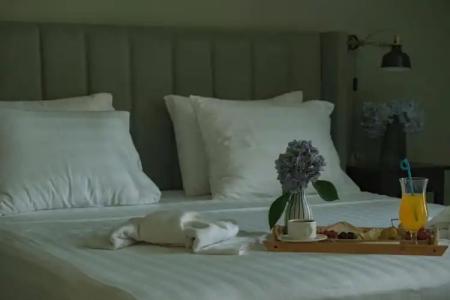 Buxus Shekvetili - 44