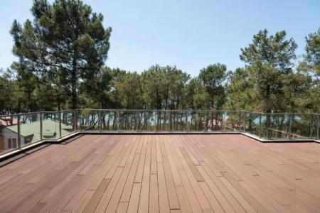 Buxus Shekvetili - 17