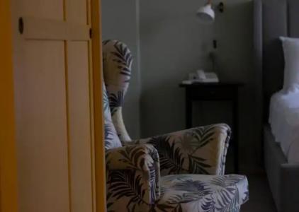 Buxus Shekvetili - 38