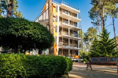 Buxus Shekvetili - 33