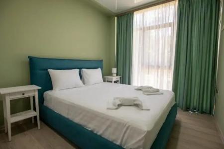 Buxus Shekvetili - 5