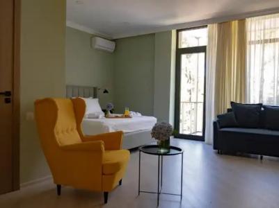 Buxus Shekvetili - 40