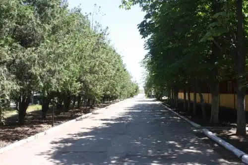 Янтарь - 36