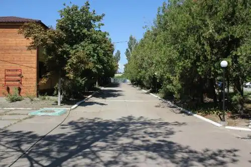 Янтарь - 14