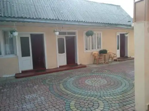 Частный семейный дом в Солотвино - 1