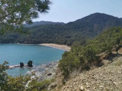 premium park apart otel - 55