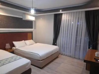 Toprak Apart Otel - 120