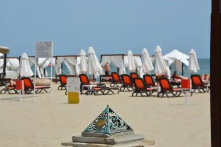 Milennia Family - 18