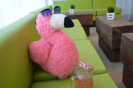 Milennia Family - 12