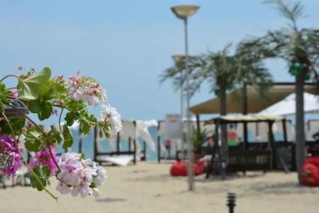 Milennia Family - 17