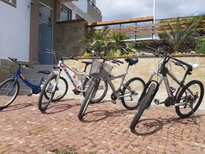 Milennia Family - 16