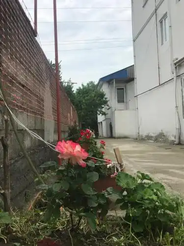 Белый дом - 96