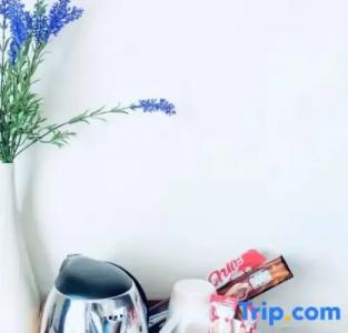 The Cosy River - 218