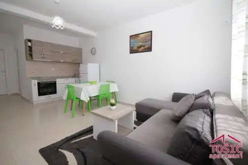 Tosic Apartmani - 47