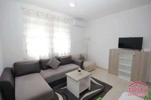 Tosic Apartmani - 48
