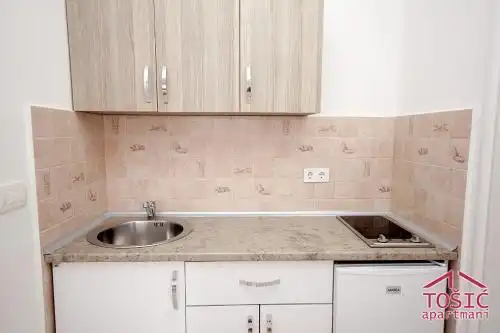 Tosic Apartmani - 64